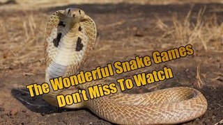 অসাধারন সাপের খেলা না দেখলে মিস -  the wonderful & dangerous snake game