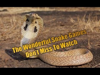 অসাধারন সাপের খেলা না দেখলে মিস -  the wonderful & dangerous snake game