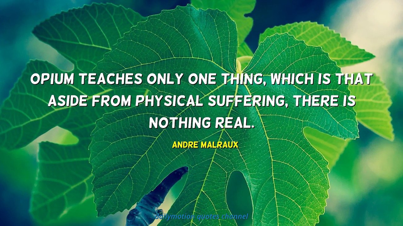Andre Malraux Quotes