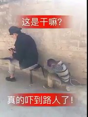 lattle  boy fun with a boy on road