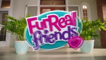 Hasbro 2016 - Fur Real Friends - Pax, My Poopin Pup / Interaktywny Piesek - TV Toys