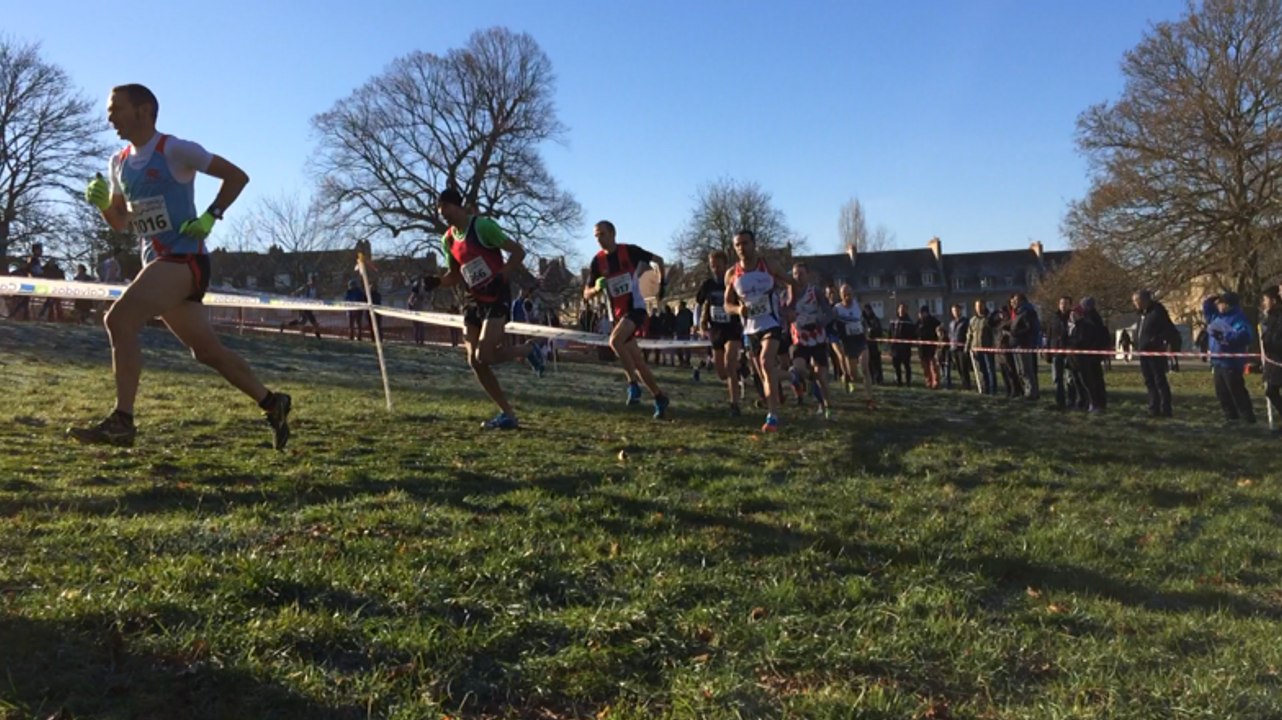 Championnat régional de cross-country