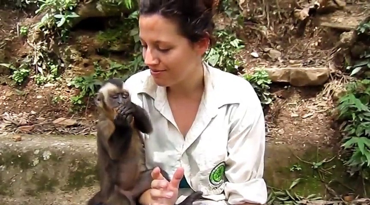 Cute Monkey Shares His Food With A Girl - Funny Videos at Videobash