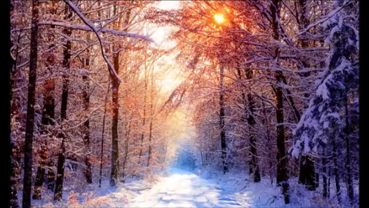 【Healing Cafe】 優しく慈しむピアノ曲 #38  「Silent Affection」 Gently Cherishing Piano Music " Silent Affection "