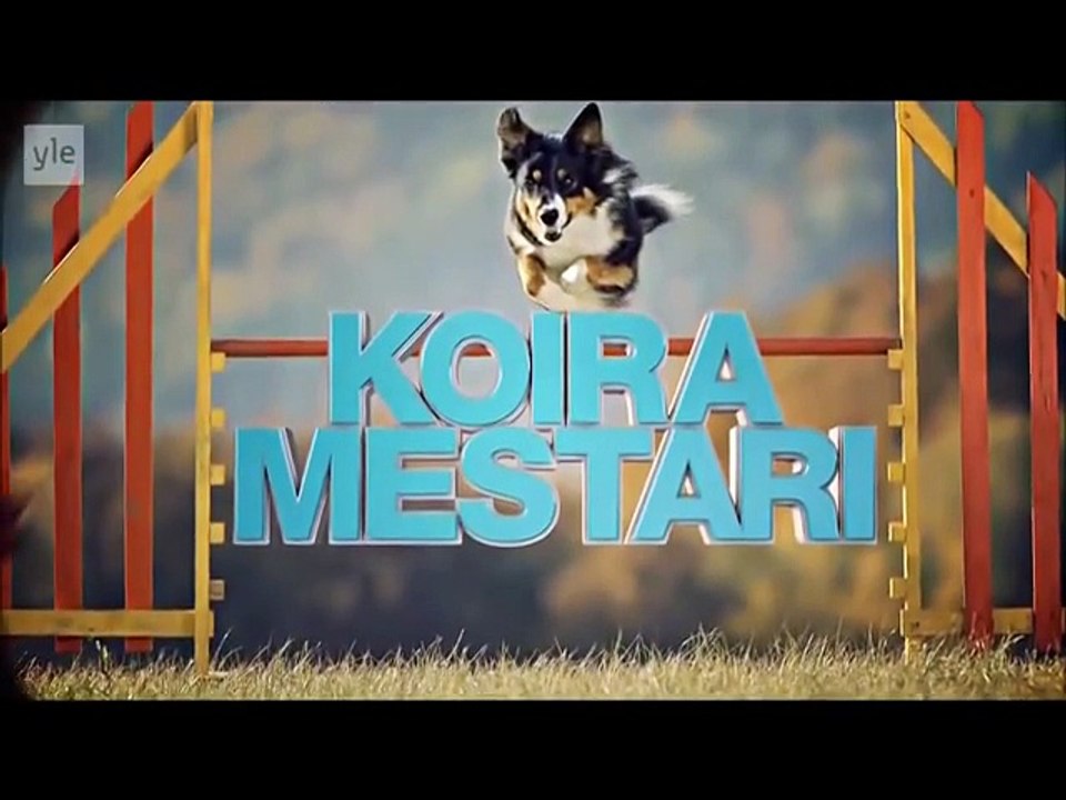 Golden Retriever Has Its Priorities Straight - Funny Videos at Videobash