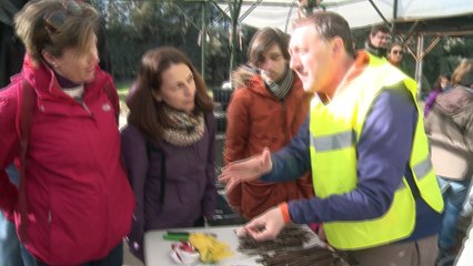 Los vecinos de Pinto aprenden el proceso de siembra