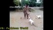 Most funny pathan vs dog must watch - YouTube