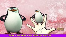 Penguins Finger Family Nursery Rhymes For Children | Penguins Cartoon Finger Family Rhymes