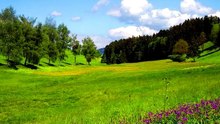 علامة يوم القيامة التى اخبرنا بها النبىى (ﷺ)