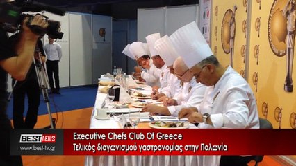 EXECUTIVE CHEFS SYNTAGES