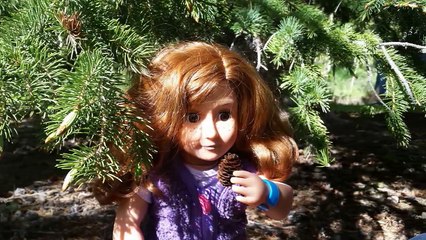 AG Doll Photoshoot: Isabelle and Eva in the Colorado Mountains