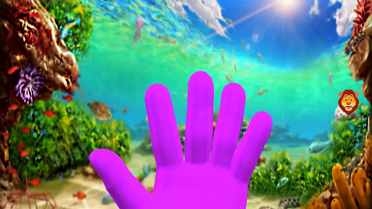 Shark Finger Family Song | Sea Animals Finger Family & More Nursery Rhymes Collection For Children