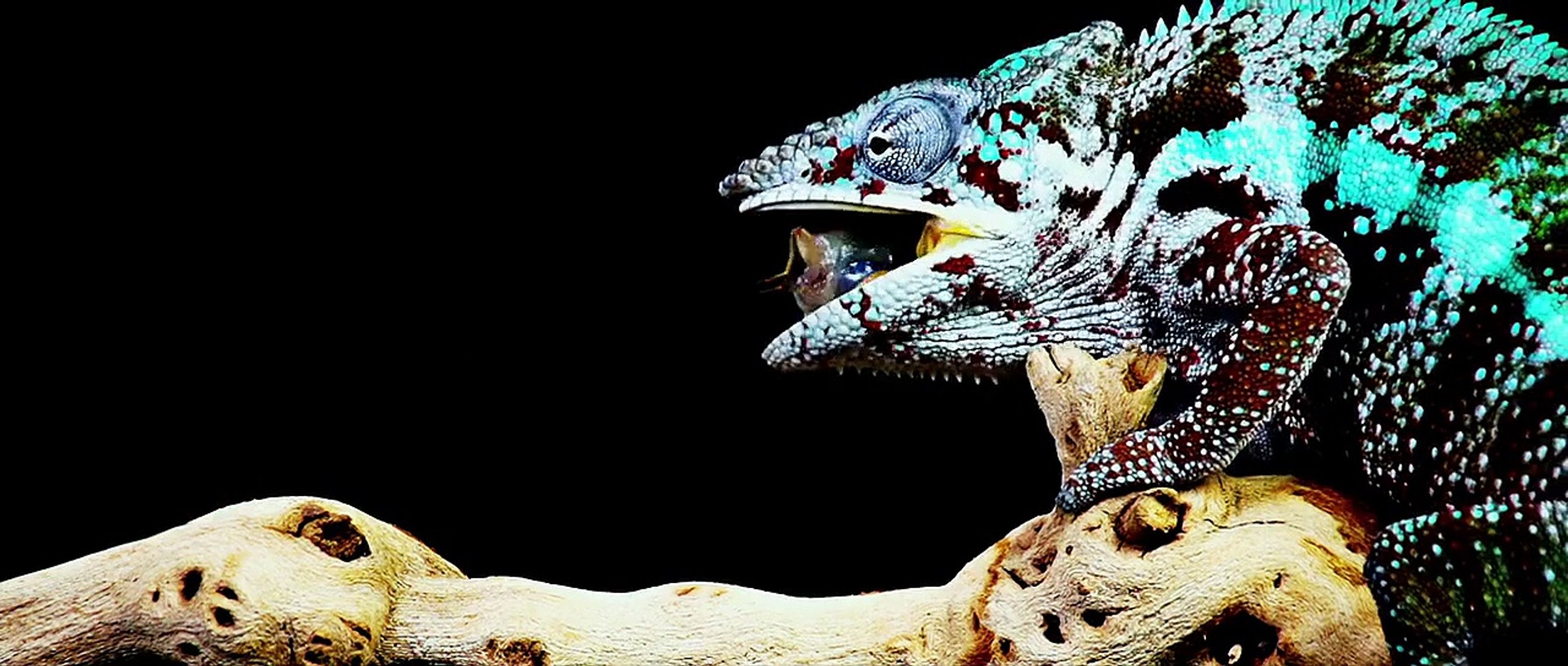 Lucy - Video Dailymotion