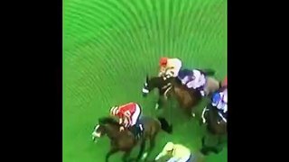 LiveLeak - Did the Jockey Fall Off His Ride ..... Or Did He Jump _