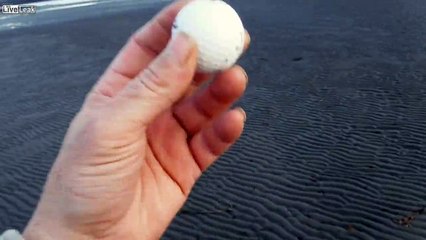 LiveLeak - Environmental Catastrophe Hits Beaches Of Nova Scotia