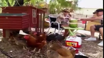 НОВЫЕ ПРИКОЛЫ 2016 Август ★ ЛУЧШИЕ ПРИКОЛЫ ★ Best Fail Compilation ★ НЕ ДЕТСКИЕ ПРИКОЛЫ 18  2016 №47
