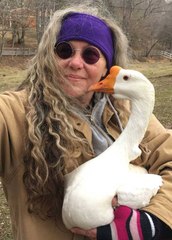 Wow A Big Duck love human | don't miss it