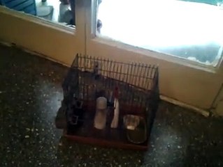 magnifique Chant  de notre frère Aouaidia Mokhtar