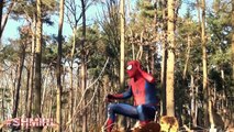 Spiderman & Spiderbaby vs Hulk vs Batman in Real Life Amazing Superheroes Boat & Pink Spidergirl IRL