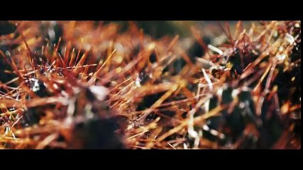 Wonderful Ways of Argentina