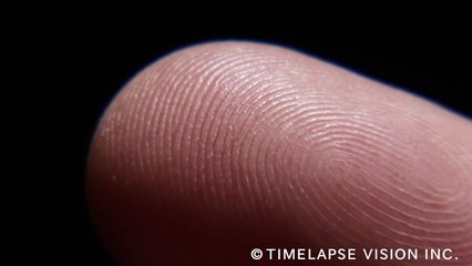 Un doigt qui sue en macro