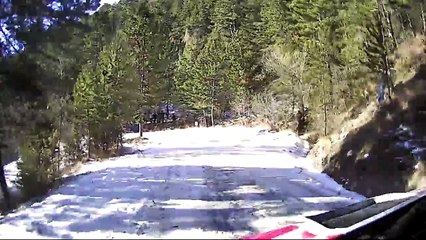 D!CI TV : Monte Carlo : Un arbre est tombé dans la légende