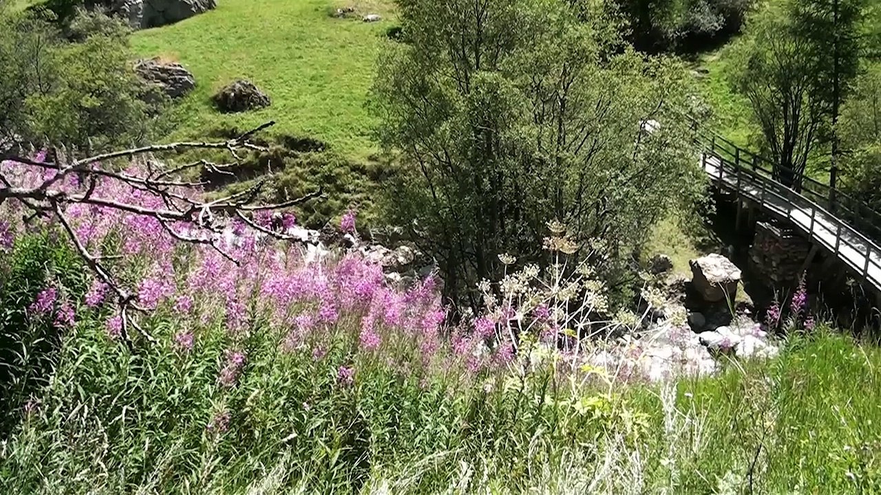 Commémoration des 10 ans du décès de l'abbé Pierre : A la rencontre des habitants de son village de Fouillouse
