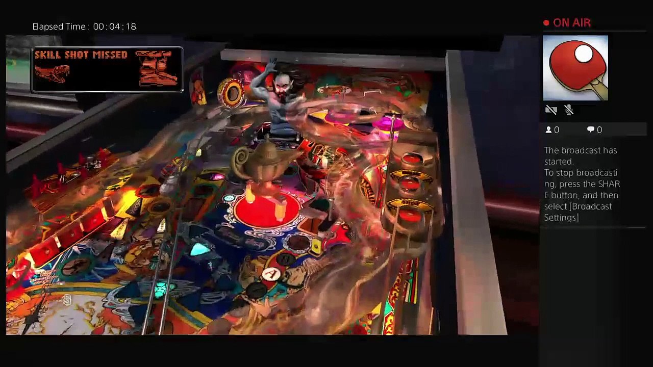 Pinball (21)