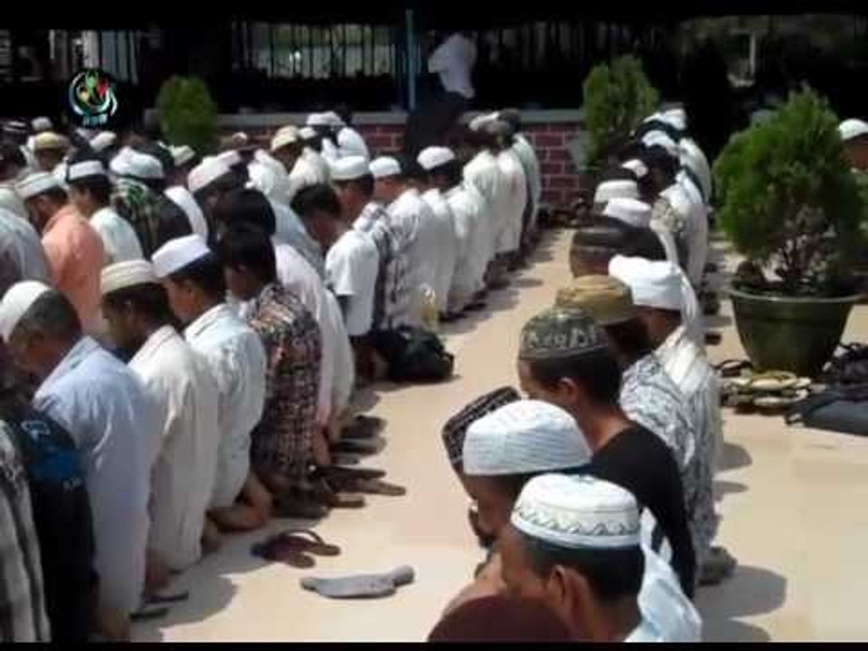 DVB TV 02.04.2013 - News coverage