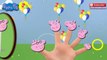 Peppa Pig Lollipop Finger Family Nursery Rhymes with Lyrics Song for Children PeppaPig Daddy finger
