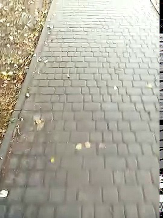 25 сентября 2016 г.