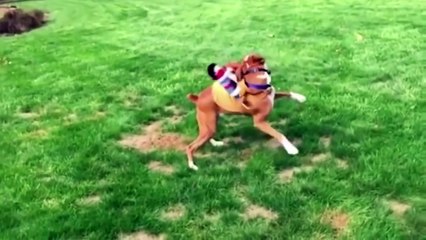 ДЕТЯМ НЕ СМОТРЕТЬ ТОЛЬКО ДЛЯ ВЗРОСЛЫХ   ПРИКОЛы Try not to laugh Funniest Fails №184