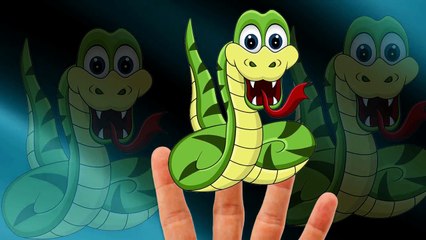 Carton Cartoons Finger Family Children Nursery Rhymes | Carton Finger Family Nursery Rhymes