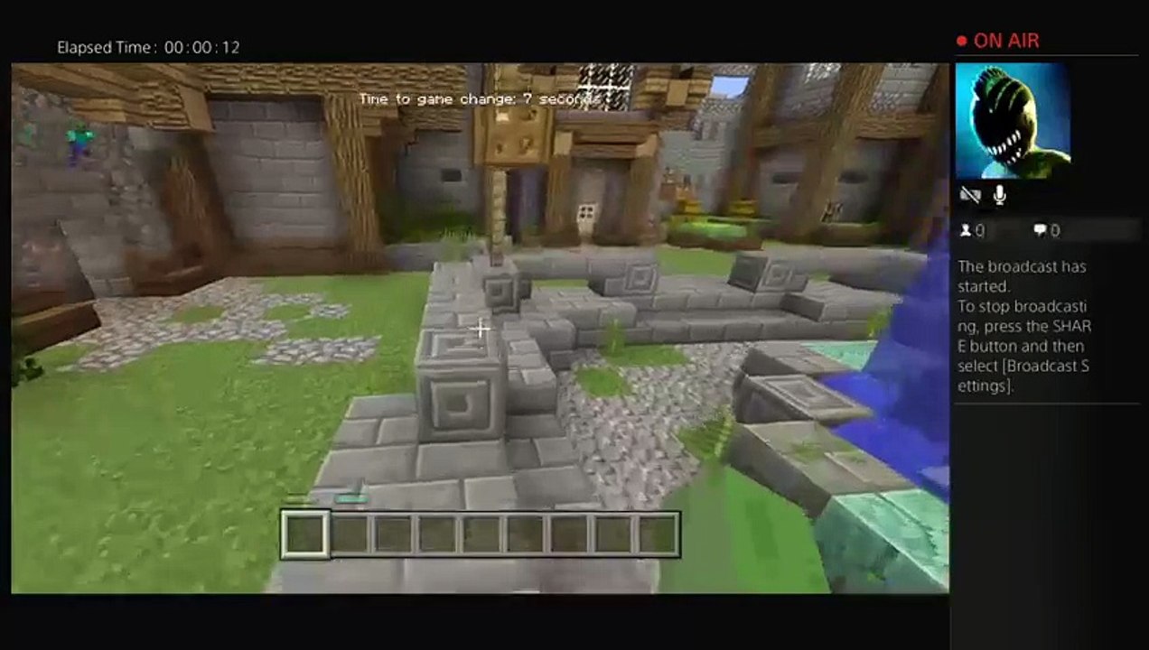 Minecraft (13)