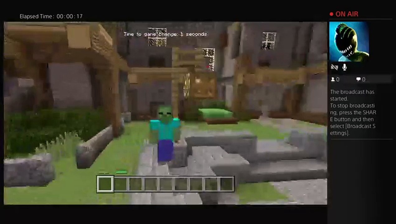 Minecraft (14)