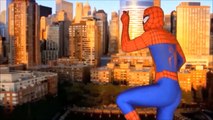 Человек-паук против Венома реальной жизни супергероя бой!!