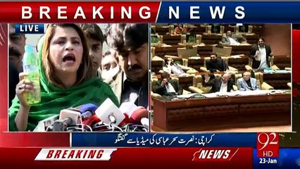 Nusrat Sehar Media Talk in Karachi - 23rd January 2017