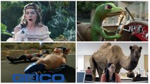 The 20 Most Entertaining and Funny Geico Commercials Ever