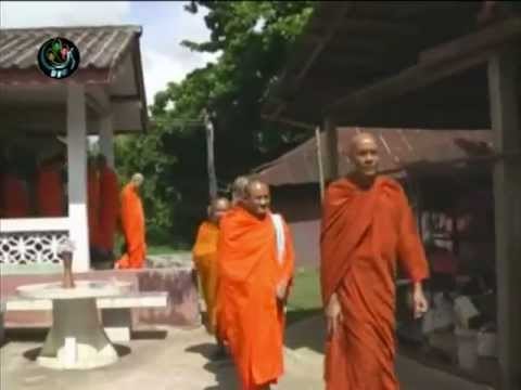 DVB 01.08.2012 - Documentary