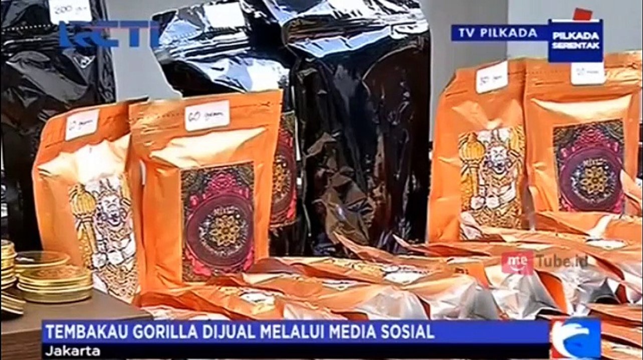 Ini Efek Samping Tembakau Gorila