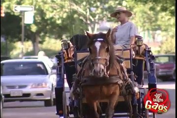 Horse-drawn carriage Police Chase!