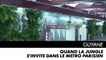 GUYANE - Quand la jungle s'invite dans le métro parisien...