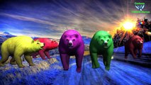 Figer Family Bear Rhymes | Animals Cartoon Finger Family