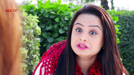 Apnay - Episode#67 - (Drama Serial) Promo - 23 Jan,2017 - SEE TV