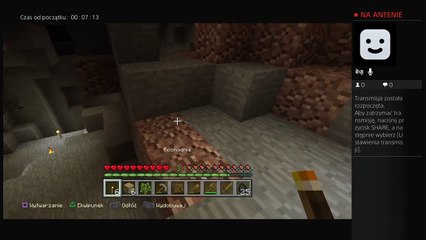 Luźne granie MINECRAFT PS4 EDITION (3)