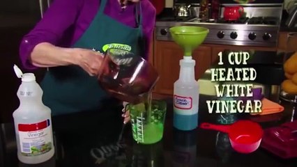 COME PULIRE LA DOCCIA CON SOLO DUE INGREDIENTI