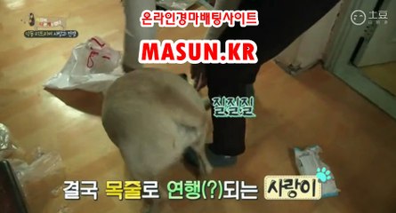 서울경마결과 ▷MASUN.K알 ◁ 사설경륜