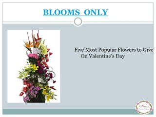 Best Valentine’s Day Flower Arrangements | Blooms Only