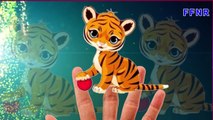 Тигр Семья | Тигр Finger Семья Потешки Для Детей | Тигр Мультфильм Семьи Палец Потешки