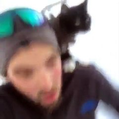 Sledding with my cat.